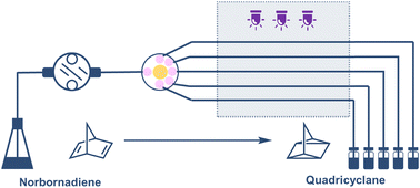 Graphical abstract: Process intensification and kinetic investigation of solvent-free photoisomerization of norbornadiene to quadricyclane using photomicroreactors