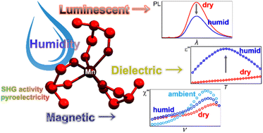 Graphical abstract: Photoluminescent, dielectric, and magnetic responsivity to the humidity variation in SHG-active pyroelectric manganese(ii)-based molecular material