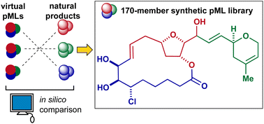 Graphical abstract: A sequential esterification-ring closing metathesis-Nozaki–Hiyama–Kishi strategy for constructing a natural product-like library of tetrahydrofuran-containing macrolides