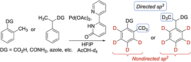 Graphical abstract: Merging directed sp3 and nondirected sp2 C–H functionalization for Pd-catalyzed polydeuteration of (hetero)arenes