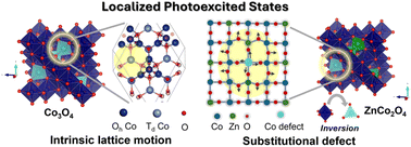 Graphical abstract: Local coordination geometry within cobalt spinel oxides mediates photoinduced polaron formation