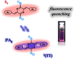 Graphical abstract: Side-chain ionization enables ultrafast intramolecular singlet fission in the azaquinodimethane skeleton