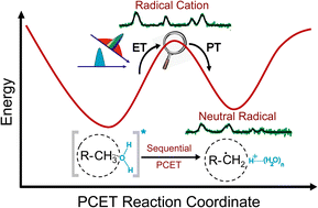 Graphical abstract: Vibrational snapshots of ultrafast C–H bond photoactivation inside a water-soluble nanocage
