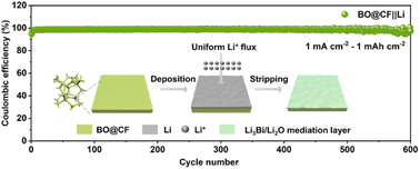 Graphical abstract: Stabilizing lithium metal anodes with bismuth oxide-coated 3D copper foams via an in situ bifunctional mediation layer