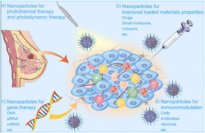 Graphical abstract: Inducing ferroptosis in breast cancer with nanoparticles: a promising and challenging therapeutic strategy