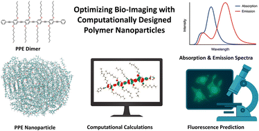 Graphical abstract: Optimizing bio-imaging with computationally designed polymer nanoparticles