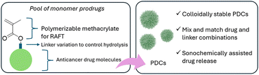 Graphical abstract: Ultrasonic activation of polymer–drug conjugates for targeted and combinational pancreatic cancer therapy