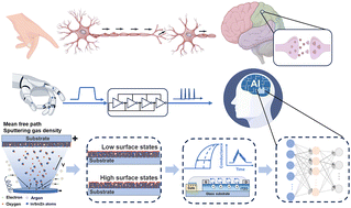 Graphical abstract: Enhanced synaptic characteristics of electrolyte-gated oxide transistors enabled by optimizing interface states at the oxide semiconductor/electrolyte interface