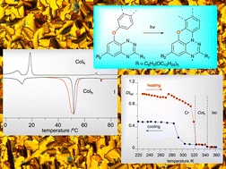 Graphical abstract: Paramagnetic discotic liquid crystals based on planar benzo[e][1,2,4]triazin-4-yls: synthesis and properties