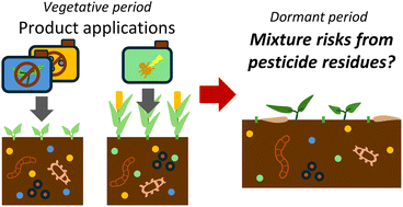 Graphical abstract: Current mixture toxicity assessments on soil organisms and applied risk assessments