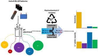 Graphical abstract: Competing ion effects and electrolyte optimization for electrochemical lithium extraction from spent lithium iron phosphate battery cathodes