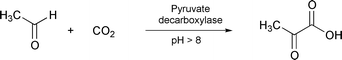 Graphical abstract: Enzymatic synthesis of pyruvic acid from acetaldehyde and carbon dioxide