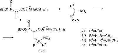 Graphical abstract: Nitroalkanes as nucleophiles in a self-catalytic Michael reaction