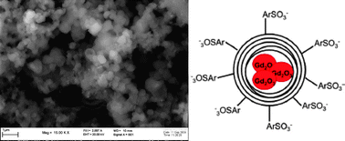 Graphical abstract: Carbon coated microshells containing nanosized Gd(iii) oxidic phases for multiple bio-medical applications