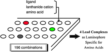Graphical abstract: Combinatorial screening of a lanthanide complex library for luminescence sensing of amino acids