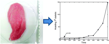Graphical abstract: Metabolic profiling of meat: assessment of pork hygiene and contamination with Salmonella typhimurium