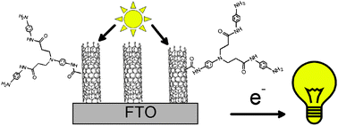 Graphical abstract: Dendron growth from vertically aligned single-walled carbon nanotube thin layer arrays for photovoltaic devices