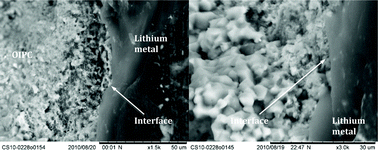 Graphical abstract: Lithium doped N,N-dimethyl pyrrolidinium tetrafluoroborate organic ionic plastic crystal electrolytes for solid state lithium batteries