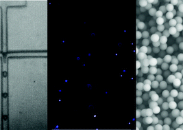 Graphical abstract: Highly monodisperse conjugated polymer particles synthesized with drop-based microfluidics