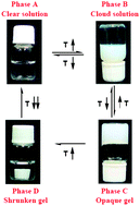 Graphical abstract: Inverse thermally reversible gelation-based hydrogels: synthesis and characterization of N-isopropylacrylamide copolymers containing deoxycholic acid in the side chain