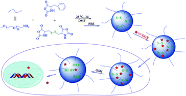 Graphical abstract: One-step preparation of reduction-responsive poly(ethylene glycol)-poly(amino acid)s nanogels as efficient intracellular drug delivery platforms