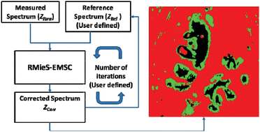 Graphical abstract: FTIR microscopy of biological cells and tissue: data analysis using resonant Mie scattering (RMieS) EMSC algorithm