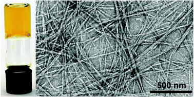 Graphical abstract: Cerium oxide nanoparticle-mediated self-assembly of hybrid supramolecular hydrogels