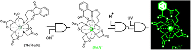 Graphical abstract: A chemically unlocked binary molecular switch