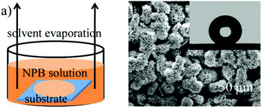 Graphical abstract: Hierarchical flower-shaped organic NPB architectures with a durable water-repellent property