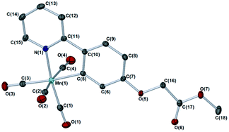 Graphical abstract: A therapeutically viable photo-activated manganese-based CO-releasing molecule (photo-CO-RM)