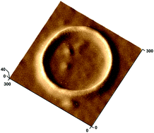Graphical abstract: Creating suprapolymer assemblies: nanowires, nanorings, and nanospheres prepared from symmetric block-copolymers confined in spherical particles