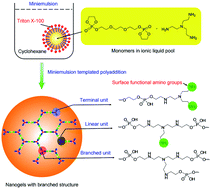 Graphical abstract: Biocompatible and functionalizable polyphosphate nanogel with a branched structure