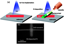 Graphical abstract: Development of Ohmic nanocontacts via surface modification for nanowire-based electronic and optoelectronic devices: ZnO nanowires as an example