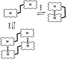 Graphical abstract: Porphyrin dyads linked by a rotatable 3,3′-biphenyl scaffold: a new binding motif for small ditopic molecules