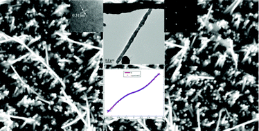 Graphical abstract: Template-assisted synthesis of ordered single crystal InN nanowires