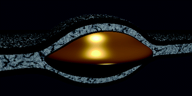 Graphical abstract: Hydrophobic droplets in amphiphilic bilayers: a coarse-grained mean-field theory study