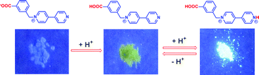 Graphical abstract: Tunable solid-state photoluminescence based on proton-triggered structural transformation of 4,4′-bipyridinium derivative