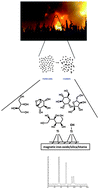 Graphical abstract: Determination of saccharides in aerosols by hydrophilic interaction liquid chromatography-evaporative light scattering detection after preconcentration/clean-up on magnetic titania