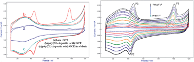 Graphical abstract: The detailed electrochemical character of brucine at a poly(aspartic acid)-modified electrode and its sensitive determination
