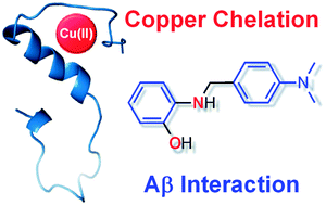 Graphical abstract: A small molecule that displays marked reactivity toward copper– versus zinc–amyloid-β implicated in Alzheimer's disease