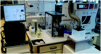 Graphical abstract: A novel approach to high pressure flow digestion