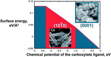 Graphical abstract: Control of the anisotropic shape of cobalt nanorods in the liquid phase: from experiment to theory… and back