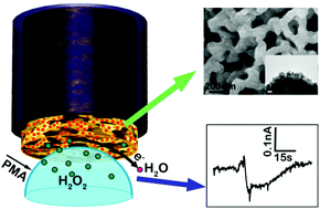 Graphical abstract: Real-time monitoring of H2O2 release from single cells using nanoporous gold microelectrodes decorated with platinum nanoparticles