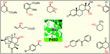 Graphical abstract: Expanding the toolbox of organic chemists: directed evolution of P450 monooxygenases as catalysts in regio- and stereoselective oxidative hydroxylation