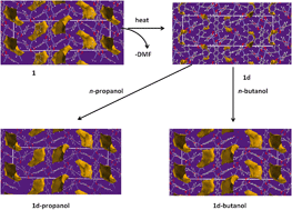 Graphical abstract: The role of C–H⋯π interactions in modulating the breathing amplitude of a 2D square lattice net: alcohol sorption studies