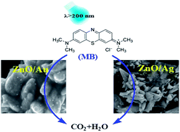 Graphical abstract: Synthesis of ZnO/Au and ZnO/Ag nanoparticles and their photocatalytic application using UV and visible light