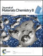 Graphical abstract: Front cover