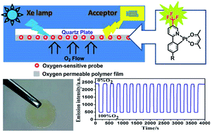 Graphical abstract: Photostable trifluoromethyl-substituted platinum(ii) emitters for continuous monitoring of molecular oxygen