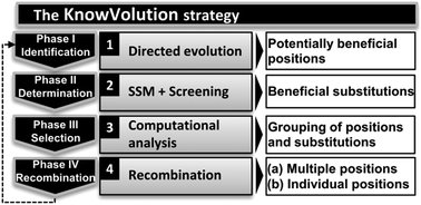 Graphical abstract: Directed evolution 2.0: improving and deciphering enzyme properties