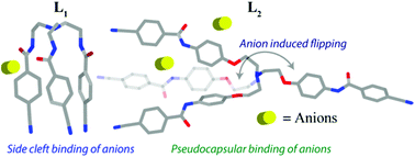 Graphical abstract: Anion complexation with cyanobenzoyl substituted first and second generation tripodal amide receptors: crystal structure and solution studies